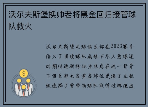 沃尔夫斯堡换帅老将黑金回归接管球队救火
